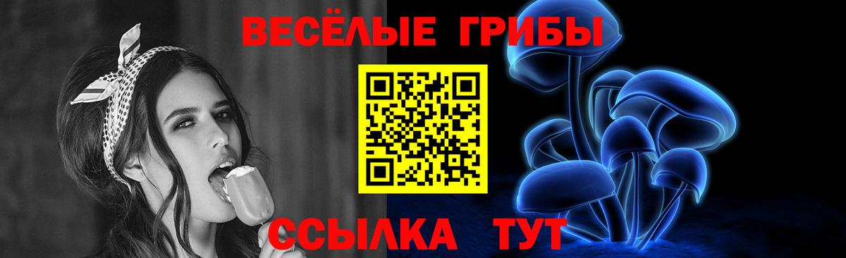 Рязань  Псилоцибиновые грибы Cubensis  Вход с VPN 